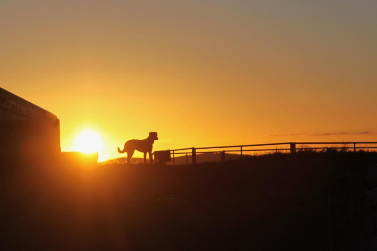 1 At Lundar Farm Lodge *